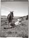 Cowboy and Horse | Will Brewster Photographer